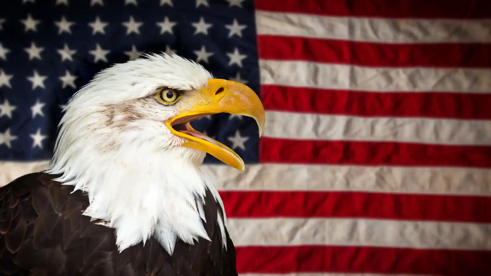 Northfield Family Lawyer Crypto Fraud Attorney 6